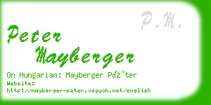 peter mayberger business card